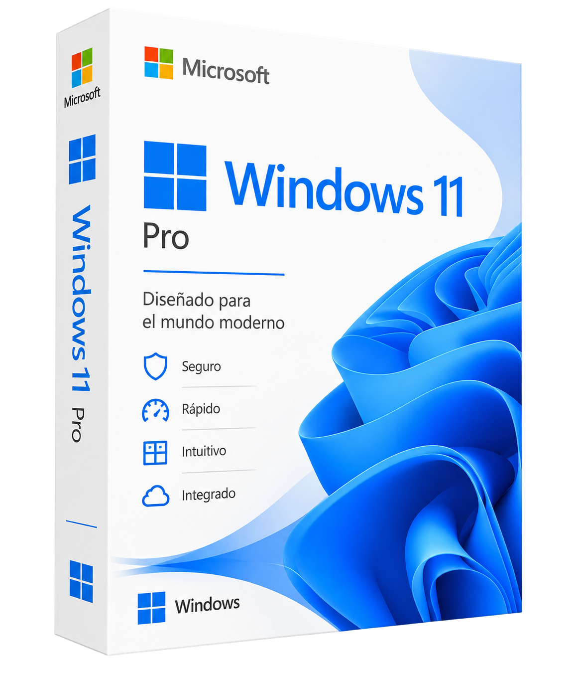 Windows 11 Pro