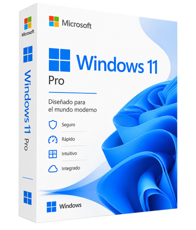 Windows 11 Pro